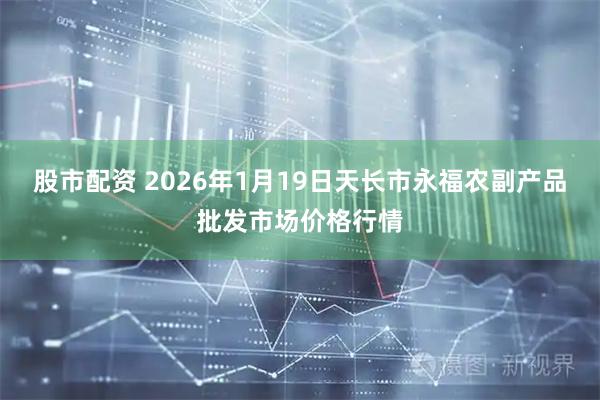 股市配资 2026年1月19日天长市永福农副产品批发市场价格行情