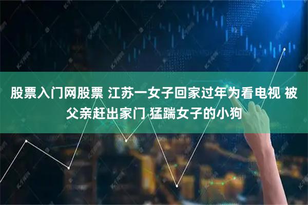 股票入门网股票 江苏一女子回家过年为看电视 被父亲赶出家门 猛踹女子的小狗